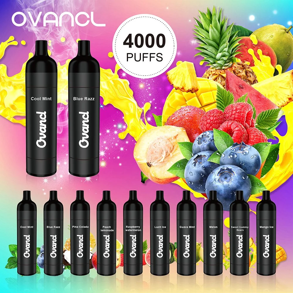 Ovancl Factory Price E Cigarette Rechargeable Battery Vaporizer 3000 Puffs Fruit Flavors Vape Pen Disposable Vape Pod System