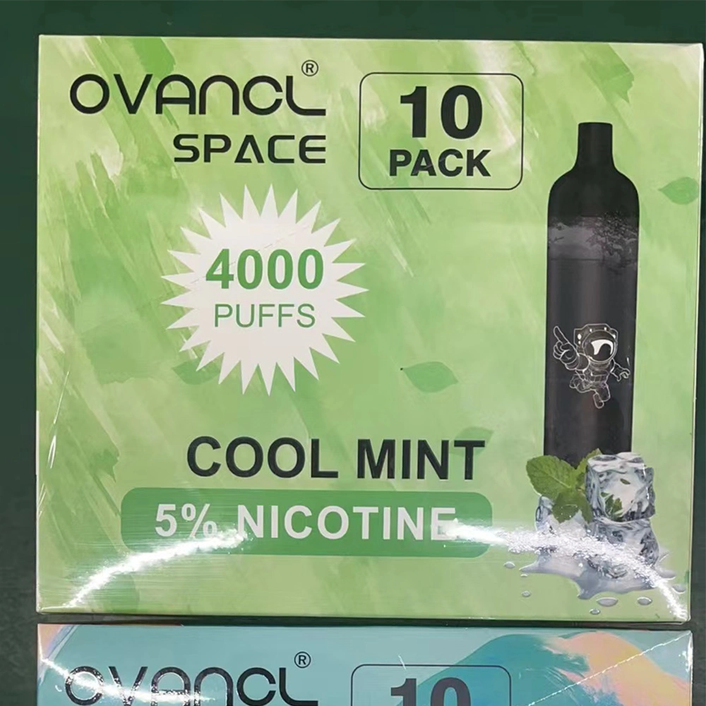 Ovancl Factory Price E Cigarette Rechargeable Battery Vaporizer 3000 Puffs Fruit Flavors Vape Pen Disposable Vape Pod System